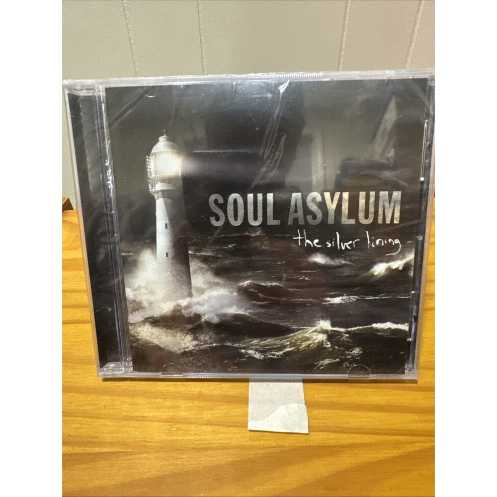 Soul Asylum - The Silver Lining (2006, CD)